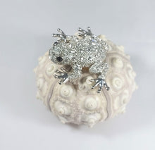 Load image into Gallery viewer, STAINLESS METAL WHITE-GOLD PLATED BROOCH "PRINCE FROG" WITH TYPE SWAROVSKI  STONES
